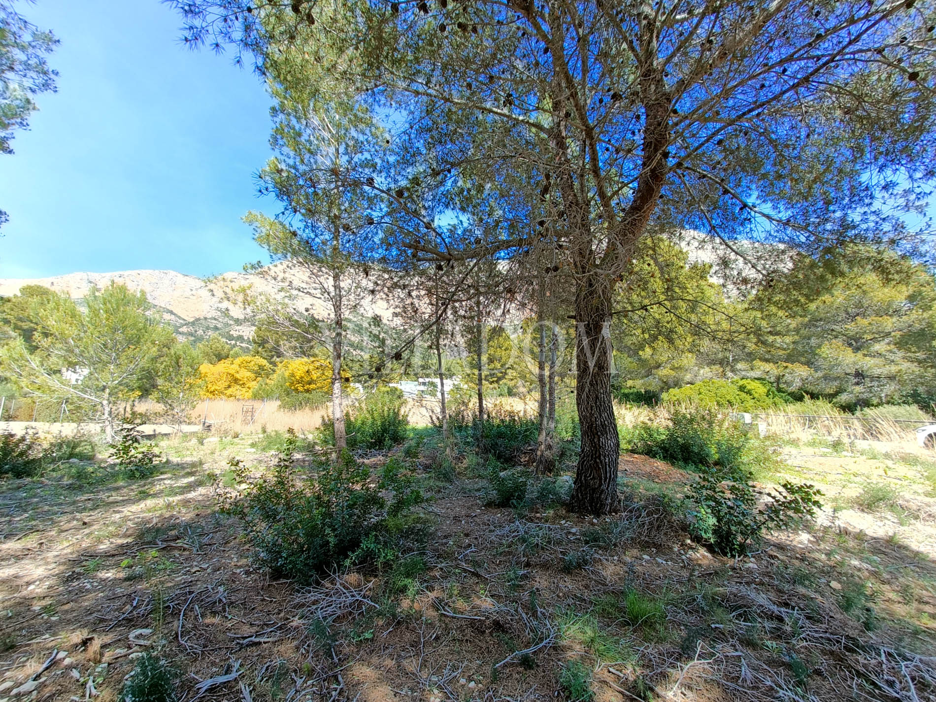 Commercial plot for sale in Javea